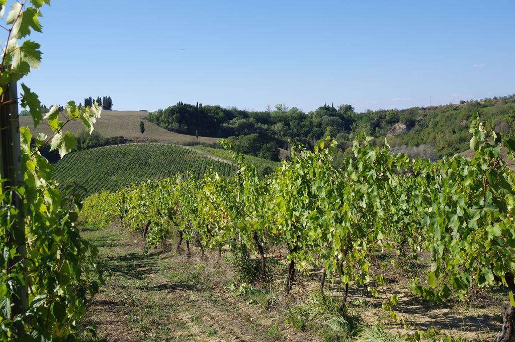 Il Gufo Del Chianti Apartment Montespertoli Exterior photo