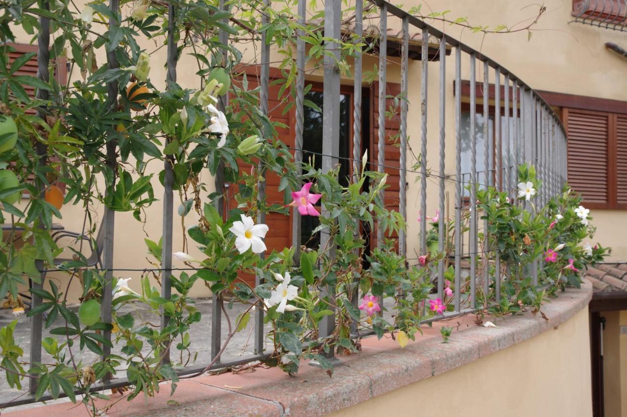 Il Gufo Del Chianti Apartment Montespertoli Exterior photo